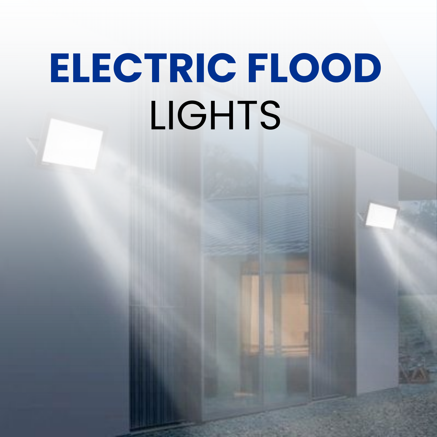 Electric Flood Light